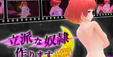 立派な奴隷作ります